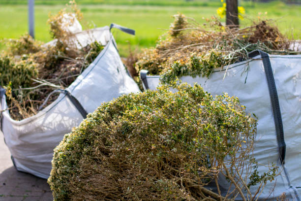 Best Attic Cleanout  in Halsey, OR